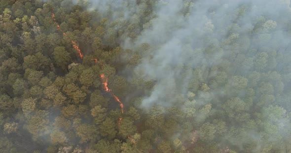 Aerial View with Panoramic Wildfire is Burning Trees Smoke Fire Dry Grass Forest in California / Videohive