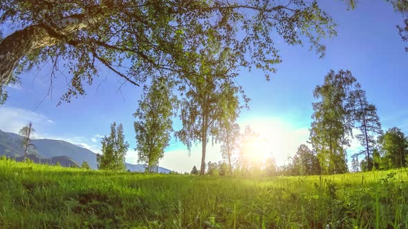 Mountain Meadow Time-lapse at the Summer or Autumn Time. Wild Nature and Rural Field. Motorised