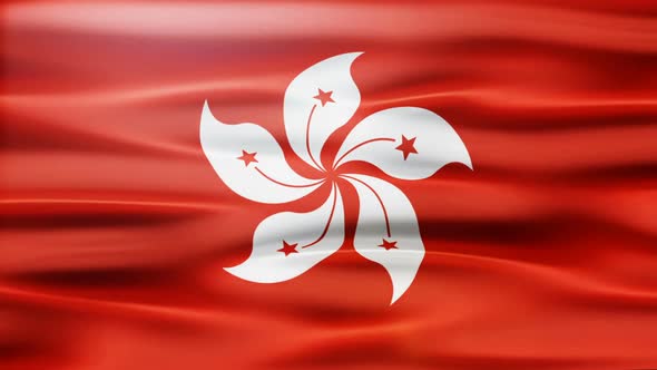 Hong Kong Flag Waving