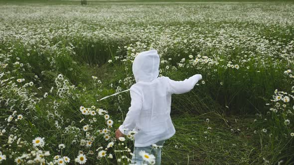 Boy Child Runs Through a Chamomile Field