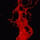 Splash Of Red Liquid - VideoHive Item for Sale