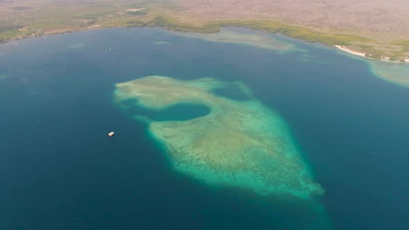 Coast and Coral Reef