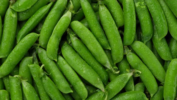 Raw green pea pod top view, rotation. 4K UHD video