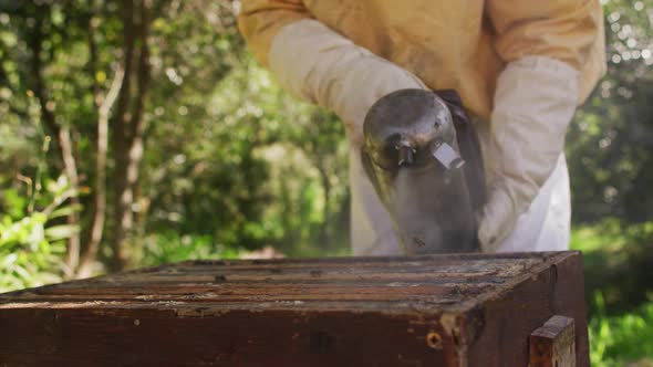 Caucasian male beekeeper in protective clothing using smoker to calm bees in a beehive