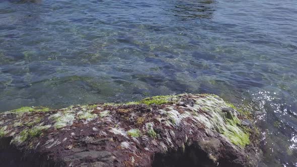 Natural clear transparent sea water at summer. Stones beach shore, calm waves, tranquillity