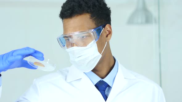 Afro-American Scientist Studying Reaction in Watch Glass