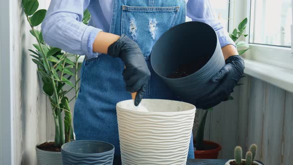 Gardener Woman Transplants Indoor Plants and Use a Shovel on Table