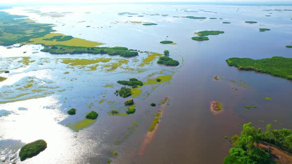 Aerial view from a drone over green and yellow plants in a large wetland