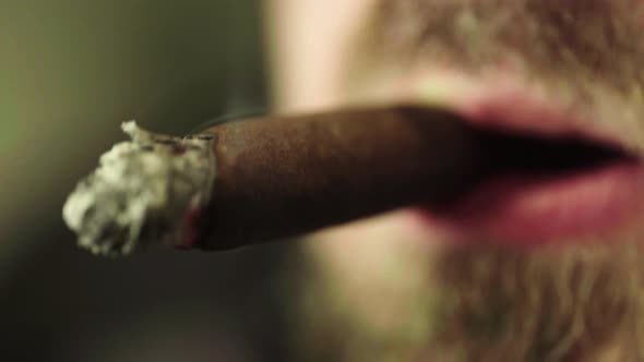 Cigar in the Smoker's Mouth Close-up. Smoking