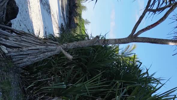 Vertical Video Empty Beach on Zanzibar Island Tanzania Aerial View