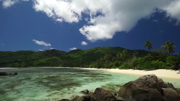 Tropical Sandy Beach Coast