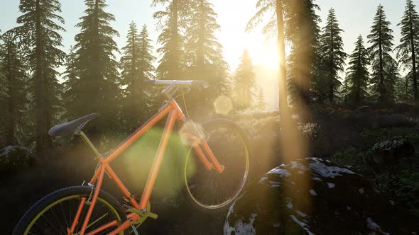 Bicycle in Mountain Forest alt