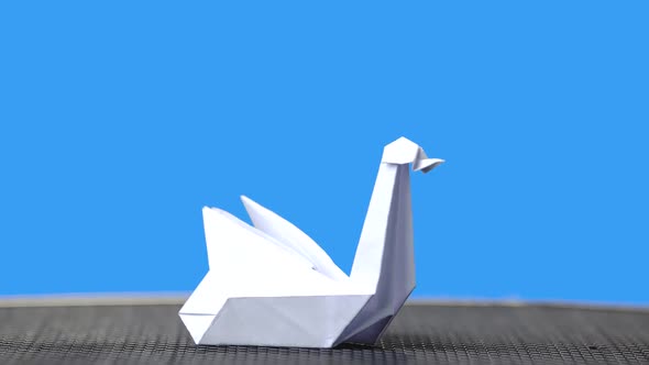 White Origami Swan on Blue Background.