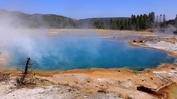 Geothermal landscapes of Yellowstone National Park