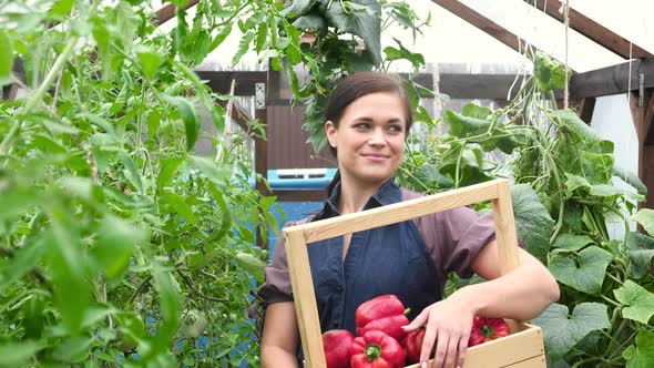 Portrait of gardener girl standing in greenhouse with a box of red ripe peppers