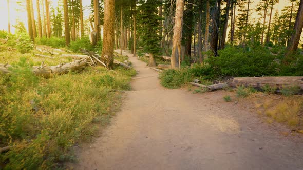 Hiking trail in the Ansel Adams Wilderness in California USA