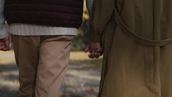 Rear view of caucasian couple walking at the park and holding hands. Shot with RED helium camera in