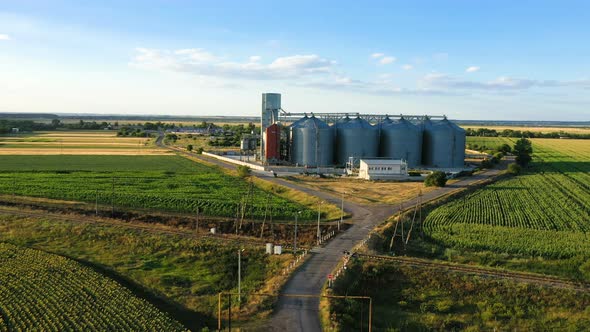 Modern Grain Silos At The Field Of Blooming Sunflowers 11