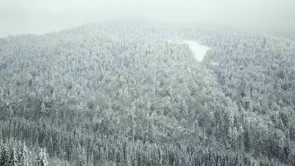 Flight over winter forest, bird's-eye view. 4k