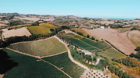 Aerial view of hills and agricultural fields in Marche region, Italy