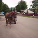 Unidentified Highland Farmer Using A Wooden Horse Cart - VideoHive Item for Sale
