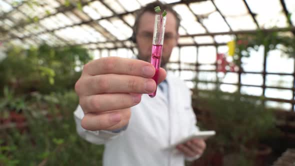 Scientist Holds Test Tubes with Plants in His Hands