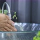 Close up of female washing her hands - VideoHive Item for Sale