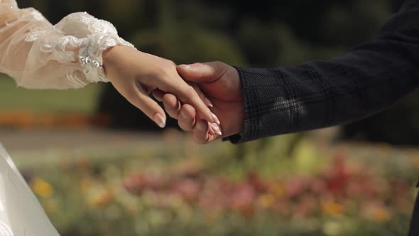 Newlyweds. Hands of Groom with Bride Touch Each Other. Wedding Couple in the Park. Happy Family