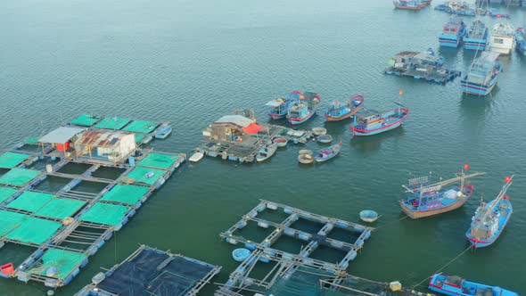 Drone view of fish farms on Nha Trang river, with boats are nailing and fishing net, fish cages. Nha