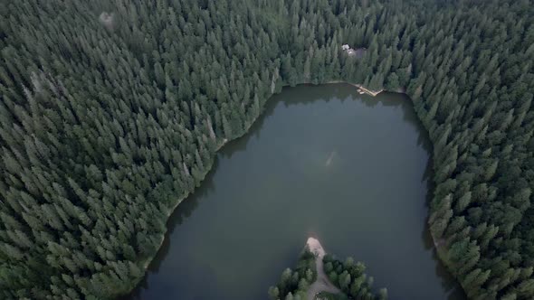 Aerial View of Synevyr Lake in Ukraine Carpathian Mountains