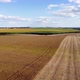 Aerial Footage of Soybean Field - VideoHive Item for Sale