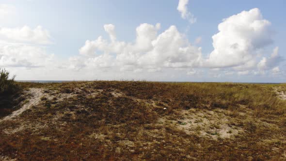 AERIAL: Reveal shot of the sea across the hil with Baltic Sea beach