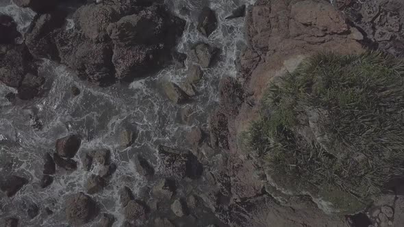 Top-down view of rocky coast