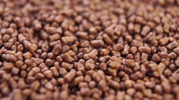 Buckwheat tea granules close-up. Rotation. Fall in slow motion