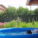 Two boys playing in the pool - VideoHive Item for Sale