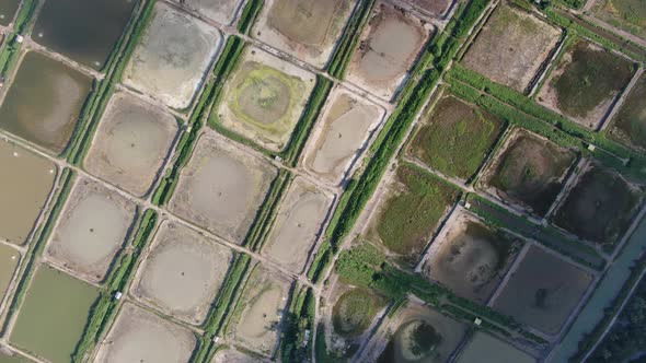 Prawn Fish Farm Aerial