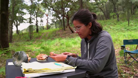 Female cutting mushroom in nature