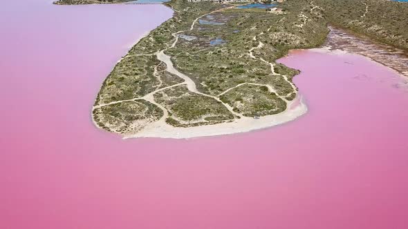 Aerial shot pink water lake with blue ocean in background, tilt up