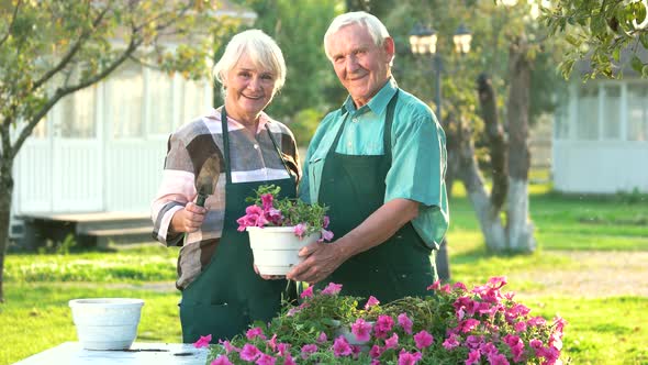 Senior Couple and Flower Pot.