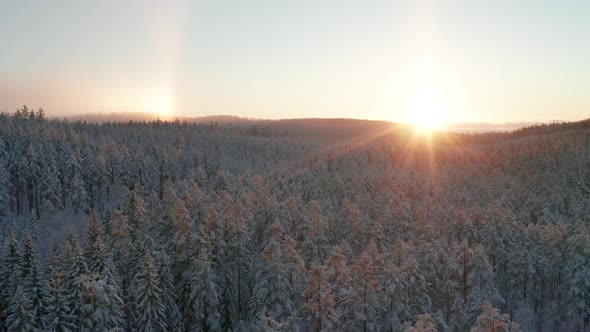 AERIAL - Sunrise and a vertical rainbow in a snowy forest in Sweden, wide shot