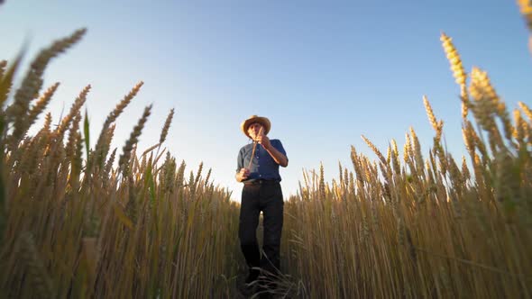 Portrait of a farmer with spikelet outdoors.
