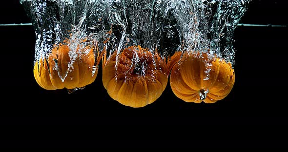 Dwarf Pumpkin, cucurbita pepo, Fruit Falling into Water against Black Background, Slow Motion 4K