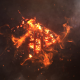 Fire Logo Reveal - VideoHive Item for Sale