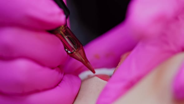 Cosmetologist applying permanent make up. Woman having permanent makeup on lips