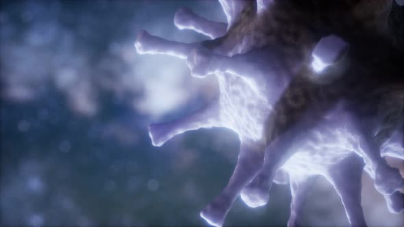 Virtual Representation Macro Model of Novel Coronavirus COVID-2019 alt