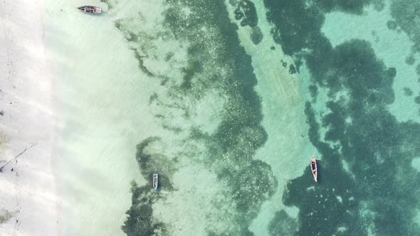 Vertical Video of the Ocean Near the Coast of Zanzibar Tanzania Aerial View