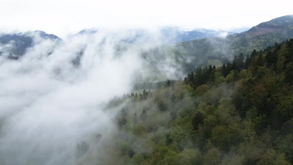 Ukraine, Carpathians: Fog in the Mountains. Aerial