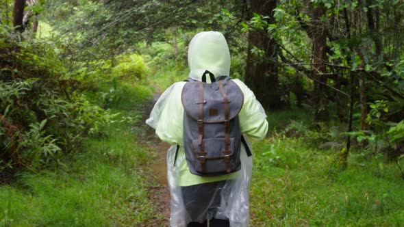 Back View Happy Free Hiker Woman with Backpack Exploring Jungle Rainforest Rain