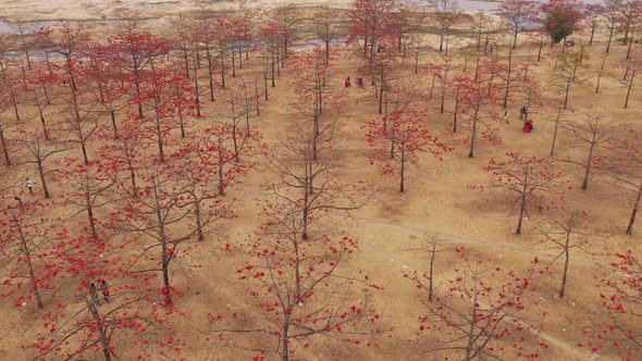 Aerial view of people in a countryside field, Dhaka, Bangladesh.