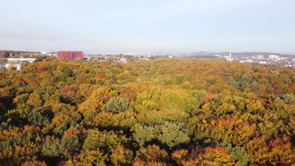 Aerial View on Autumn Park in European City